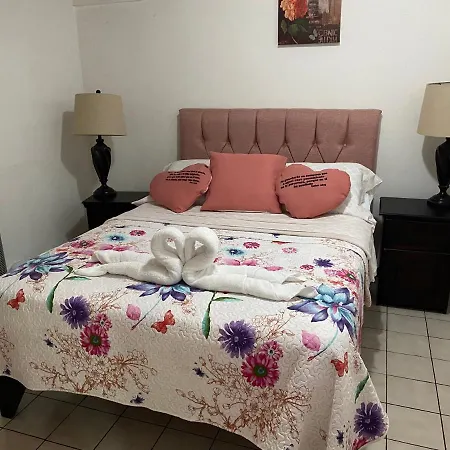 Apartment 10 Minutes By The Sjo Airport - Alajuela Exterior photo